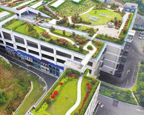 夏天應該怎樣養護植物墻？